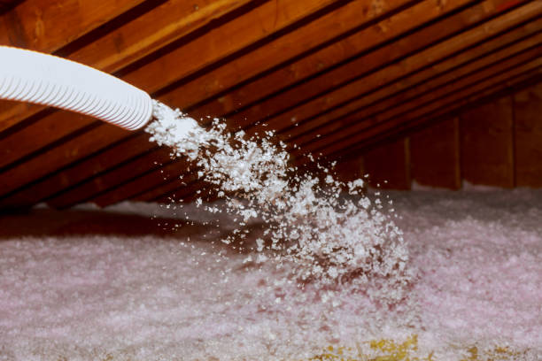 Best Insulation Contractors for Homes  in Akron, OH
